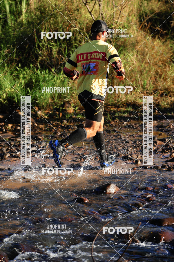 Buy your photos of the eventWolf Series - Botucatu on Fotop