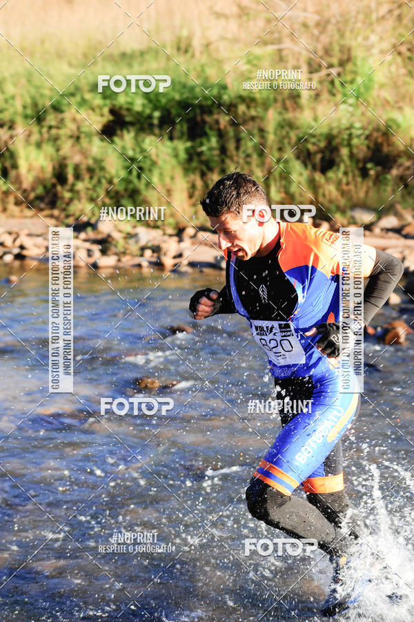 Buy your photos of the eventWolf Series - Botucatu on Fotop