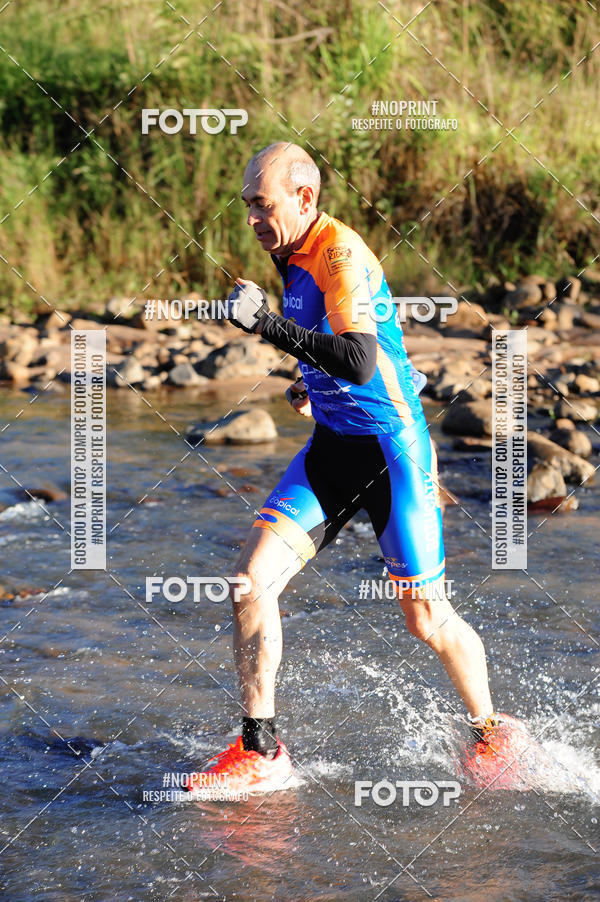 Buy your photos of the eventWolf Series - Botucatu on Fotop