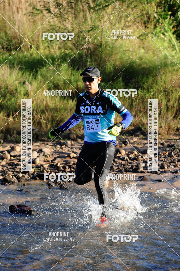 Buy your photos of the eventWolf Series - Botucatu on Fotop