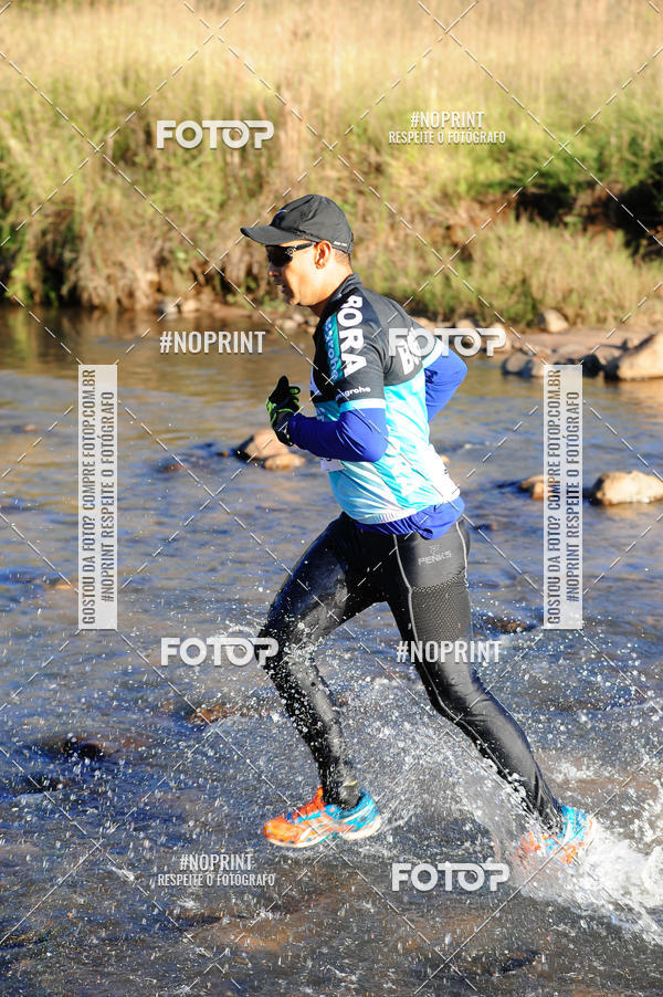 Buy your photos of the eventWolf Series - Botucatu on Fotop