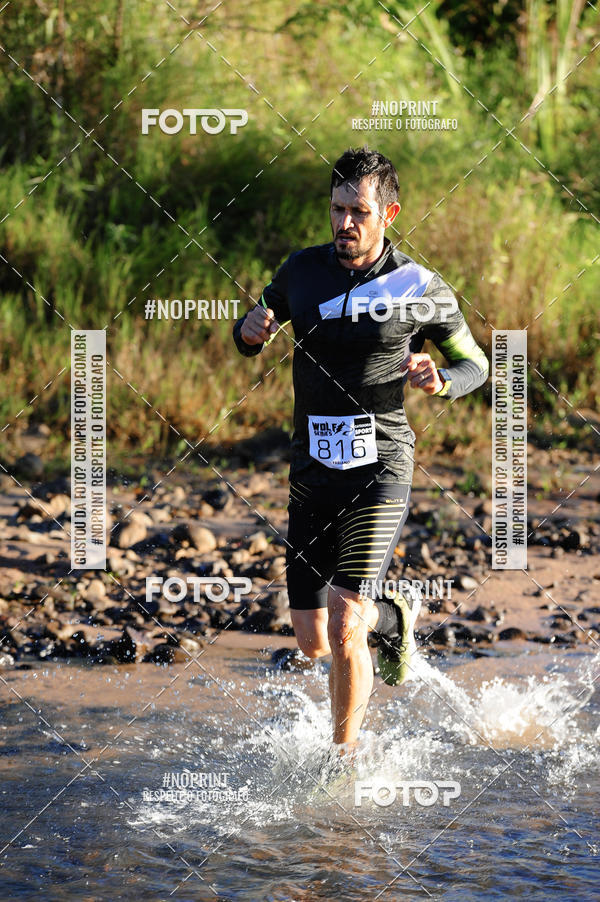 Buy your photos of the eventWolf Series - Botucatu on Fotop