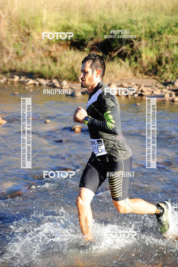 Buy your photos of the eventWolf Series - Botucatu on Fotop