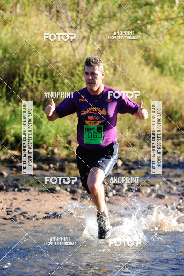 Achetez vos photos de l'vnementWolf Series - Botucatu sur Fotop