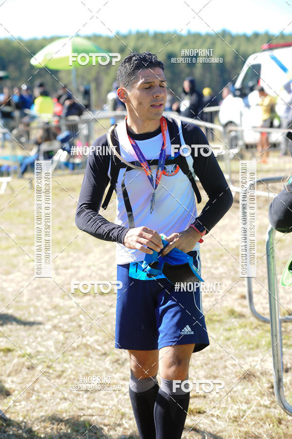 Buy your photos of the eventWolf Series - Botucatu on Fotop