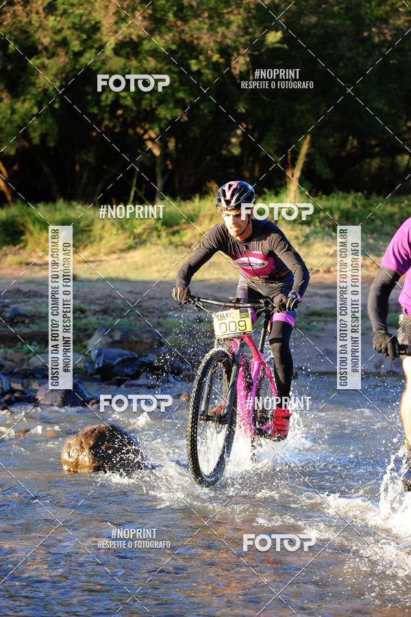 Buy your photos of the eventWolf Series - Botucatu on Fotop