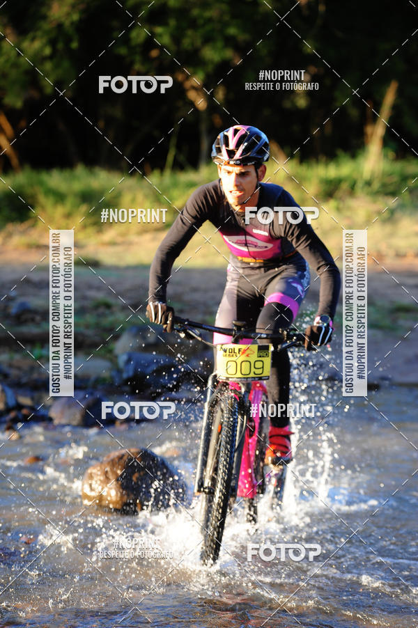 Buy your photos of the eventWolf Series - Botucatu on Fotop