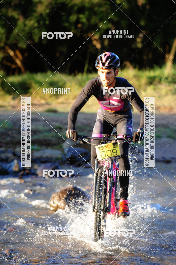 Buy your photos of the eventWolf Series - Botucatu on Fotop