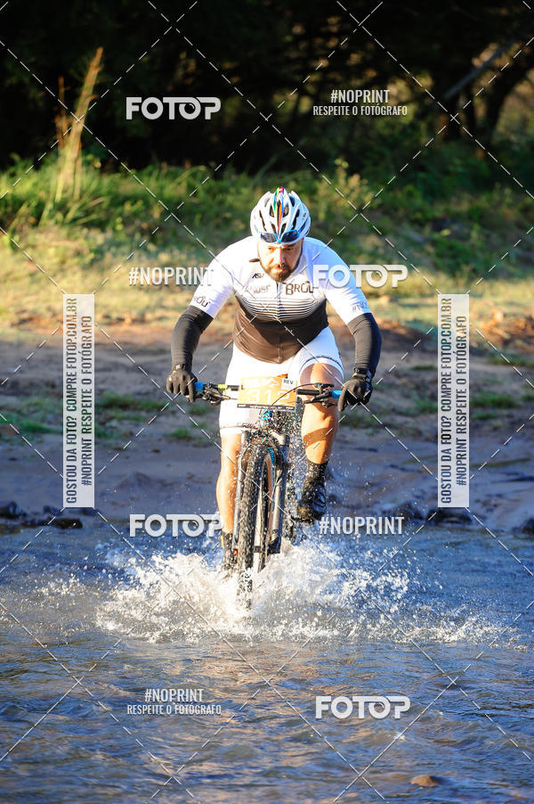 Buy your photos of the eventWolf Series - Botucatu on Fotop