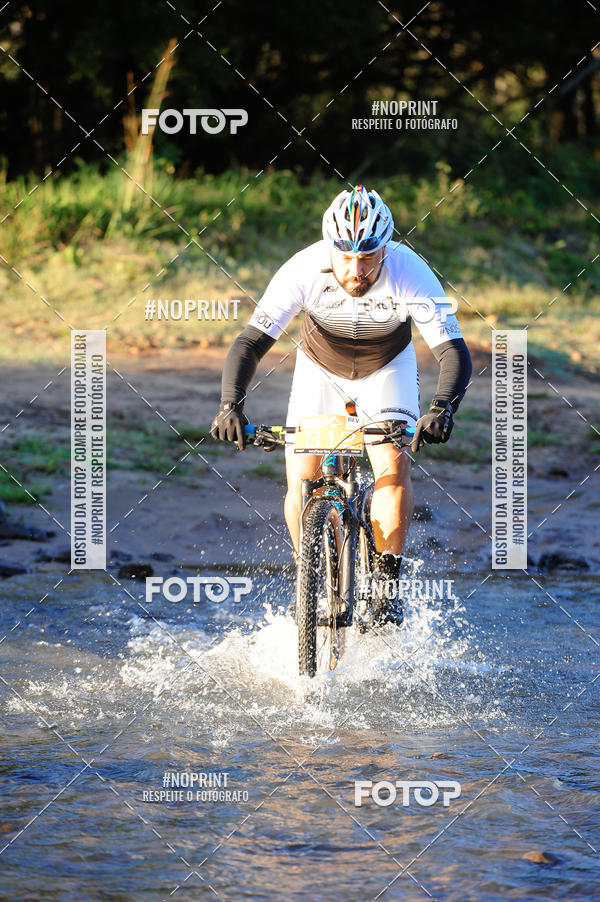 Buy your photos of the eventWolf Series - Botucatu on Fotop