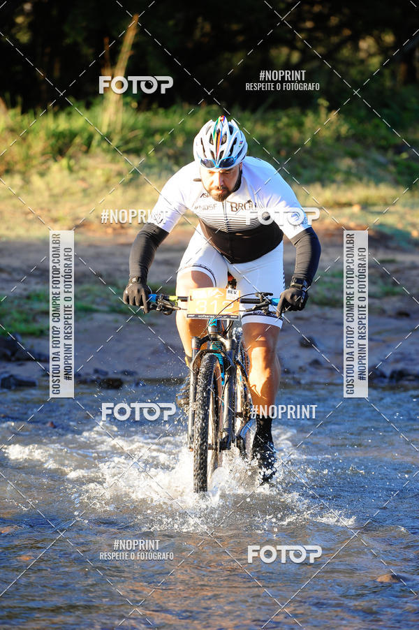 Buy your photos of the eventWolf Series - Botucatu on Fotop