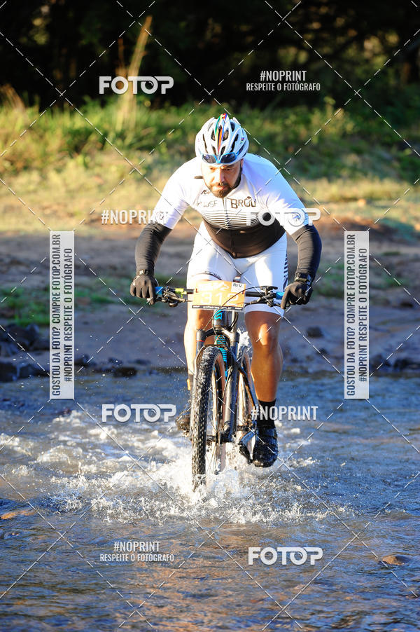 Buy your photos of the eventWolf Series - Botucatu on Fotop