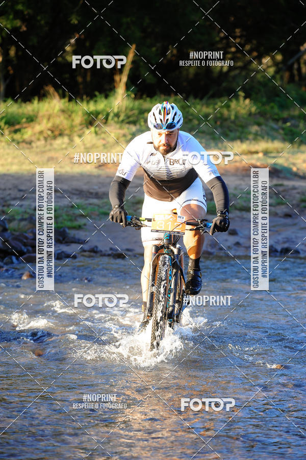 Buy your photos of the eventWolf Series - Botucatu on Fotop