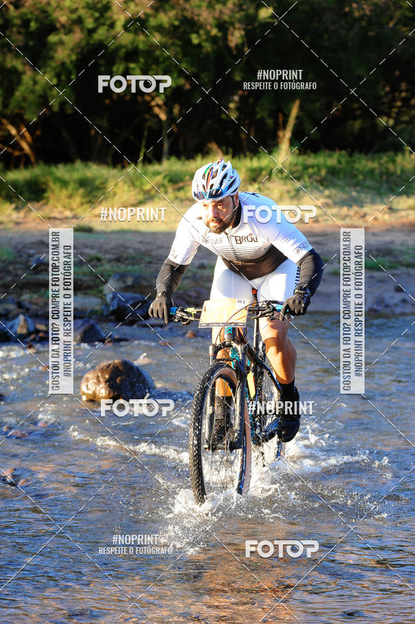 Buy your photos of the eventWolf Series - Botucatu on Fotop