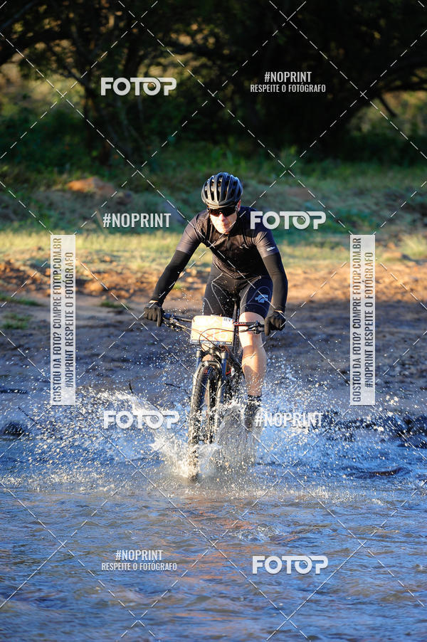 Buy your photos of the eventWolf Series - Botucatu on Fotop