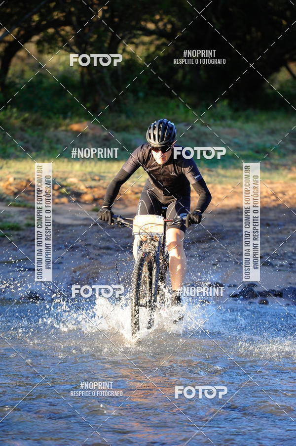 Buy your photos of the eventWolf Series - Botucatu on Fotop