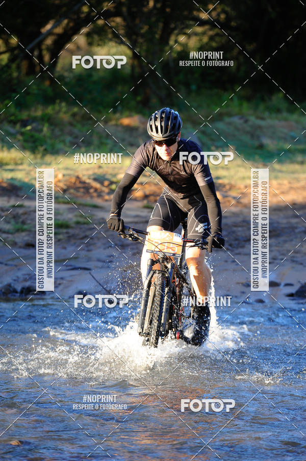 Buy your photos of the eventWolf Series - Botucatu on Fotop