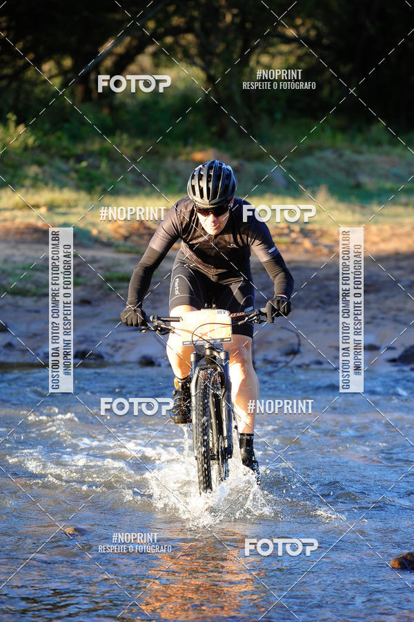 Buy your photos of the eventWolf Series - Botucatu on Fotop