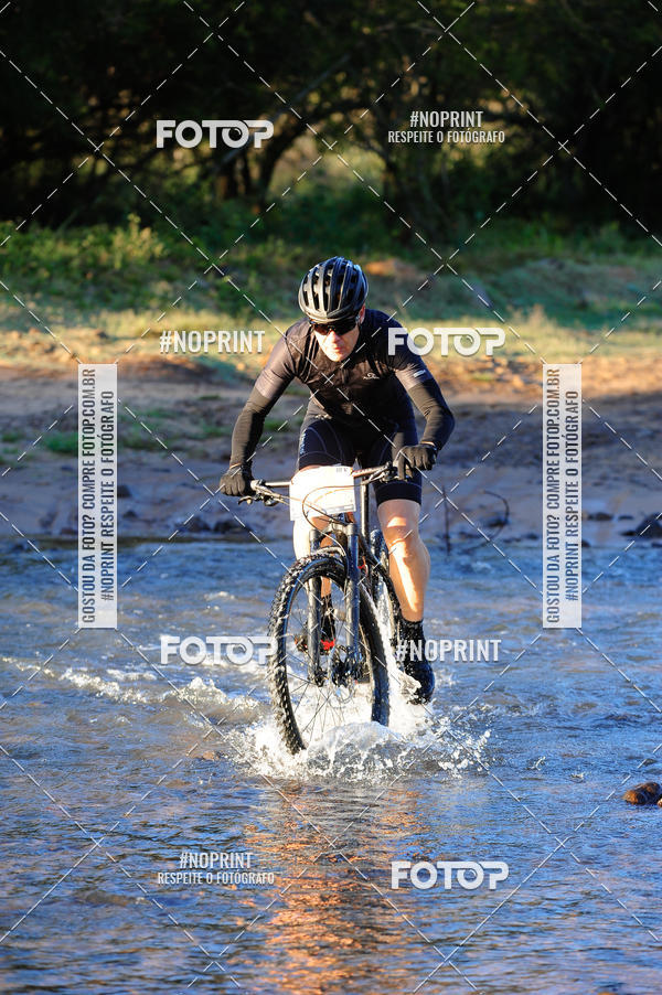 Buy your photos of the eventWolf Series - Botucatu on Fotop