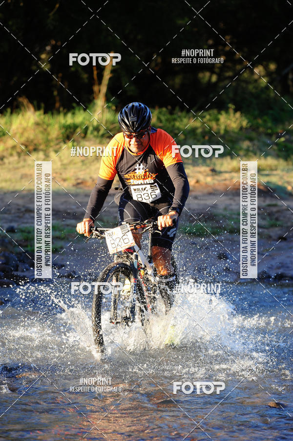 Achetez vos photos de l'vnementWolf Series - Botucatu sur Fotop