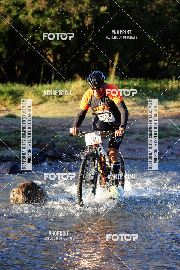 Achetez vos photos de l'vnementWolf Series - Botucatu sur Fotop