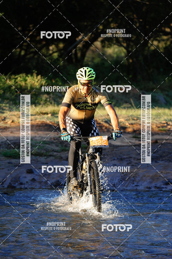 Achetez vos photos de l'vnementWolf Series - Botucatu sur Fotop