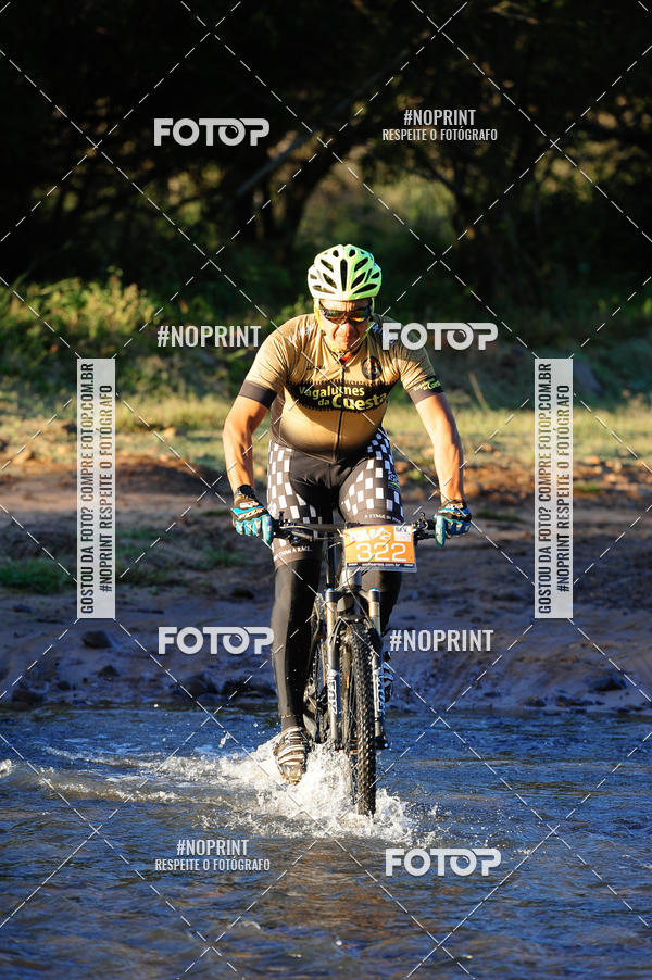 Achetez vos photos de l'vnementWolf Series - Botucatu sur Fotop