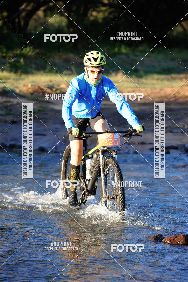 Achetez vos photos de l'vnementWolf Series - Botucatu sur Fotop