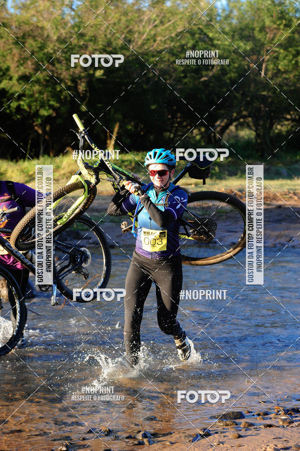 Buy your photos of the eventWolf Series - Botucatu on Fotop