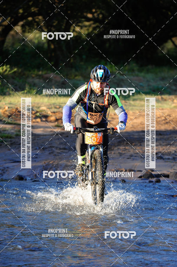 Buy your photos of the eventWolf Series - Botucatu on Fotop