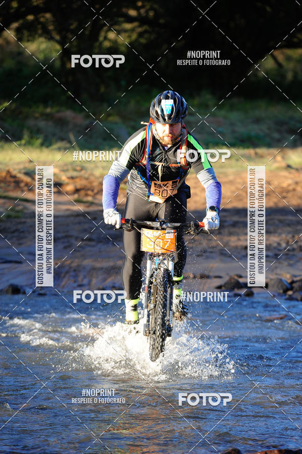 Buy your photos of the eventWolf Series - Botucatu on Fotop