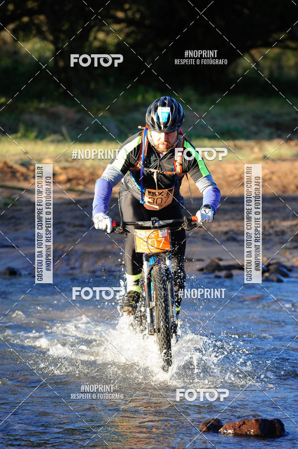 Buy your photos of the eventWolf Series - Botucatu on Fotop