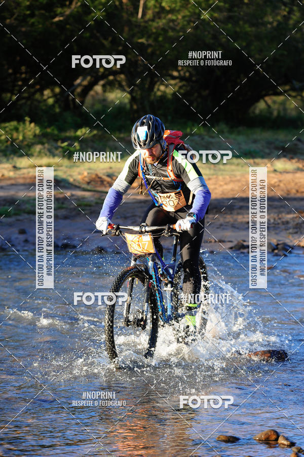 Buy your photos of the eventWolf Series - Botucatu on Fotop