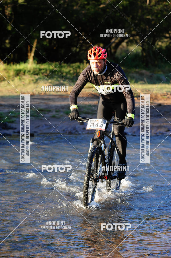 Buy your photos of the eventWolf Series - Botucatu on Fotop