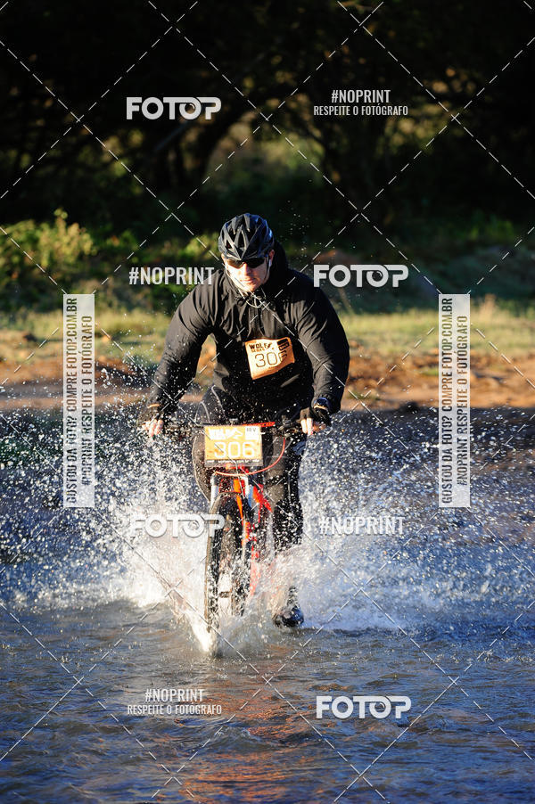 Buy your photos of the eventWolf Series - Botucatu on Fotop