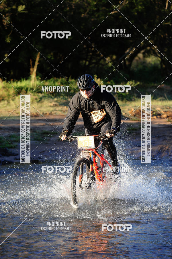 Buy your photos of the eventWolf Series - Botucatu on Fotop