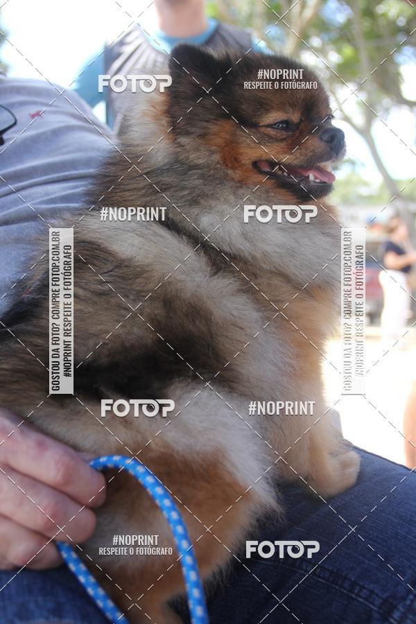 Buy your photos of the event4� Edi��o CWB Inline Marathon 2019 on Fotop