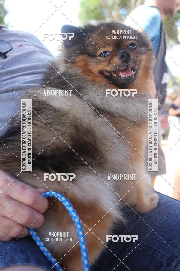 Buy your photos of the event4� Edi��o CWB Inline Marathon 2019 on Fotop