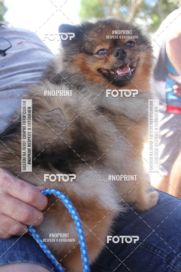 Buy your photos of the event4� Edi��o CWB Inline Marathon 2019 on Fotop