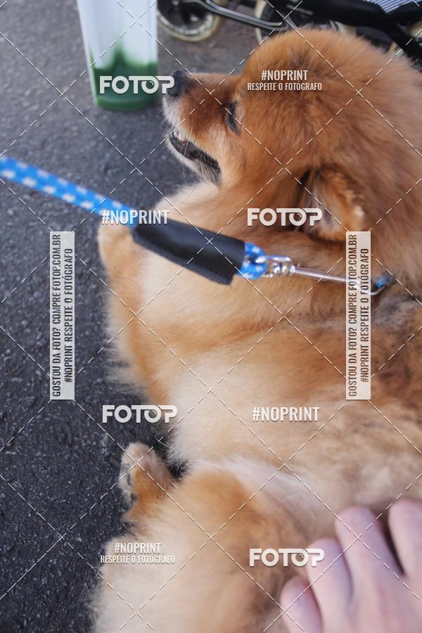 Buy your photos of the event4� Edi��o CWB Inline Marathon 2019 on Fotop