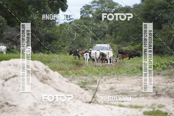 Compre suas fotos do eventoPiau Rally Camp no Fotop