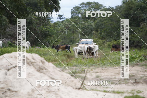 Compre suas fotos do eventoPiau Rally Camp no Fotop