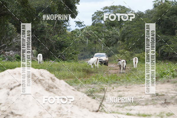 Buy your photos of the eventPiau Rally Camp on Fotop