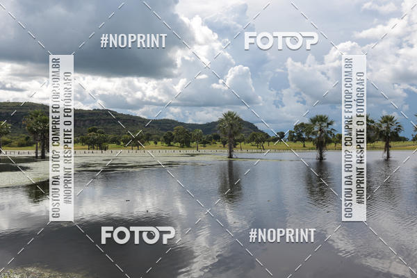 Buy your photos of the eventPiau Rally Camp on Fotop