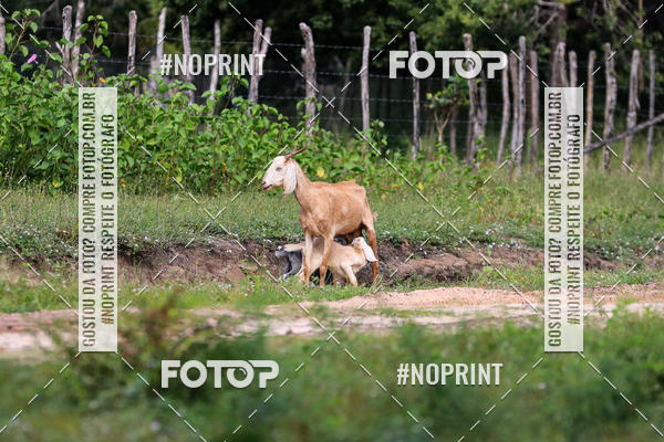 Buy your photos of the eventPiau Rally Camp on Fotop