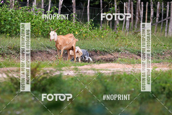 Buy your photos of the eventPiau Rally Camp on Fotop