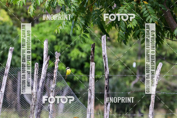 Buy your photos of the eventPiau Rally Camp on Fotop