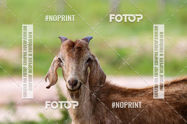 Buy your photos of the eventPiau Rally Camp on Fotop