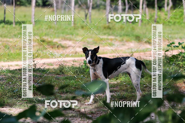 Buy your photos of the eventPiau Rally Camp on Fotop