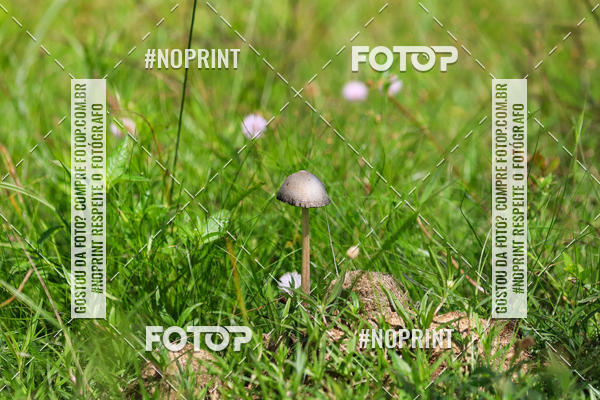 Buy your photos of the eventPiau Rally Camp on Fotop